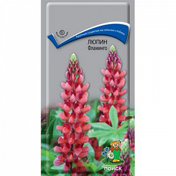 Люпин Фламинго