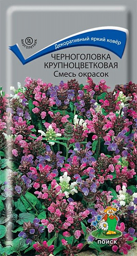 Черноголовка крупноцветковая Смесь окрасок