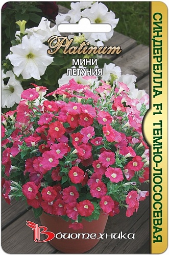Мини Петуния Синдерелла F1