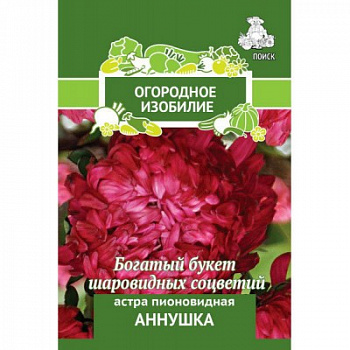 Астра пионовидная Аннушка