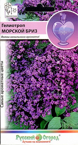 Гелиотроп Морской Бриз