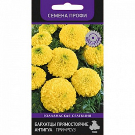 Бархатцы прямостоячие Антигуа Примроуз