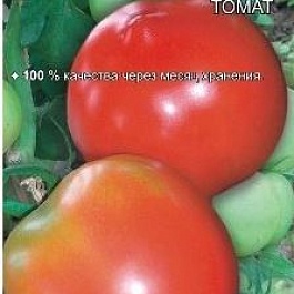 Томат (Помидор) обыкновенный Ева F1