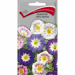 Вьюнок Смесь окрасок