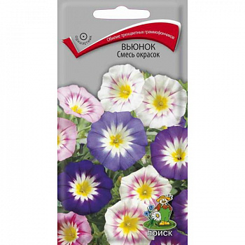 Вьюнок Смесь окрасок
