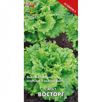Салат Восторг