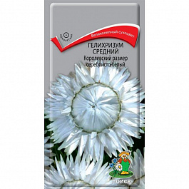 Гелихризум Королевский размер серебристо-белый