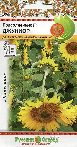 Подсолнечник Джуниор F1