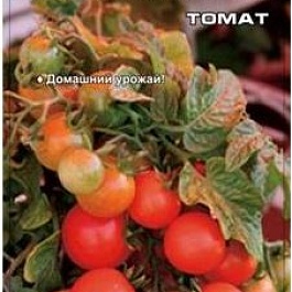 Томат (Помидор) обыкновенный Григорашик F1