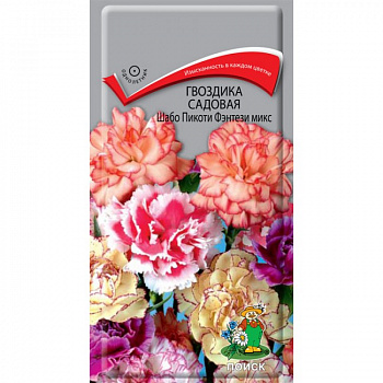 Гвоздика садовая Шабо Пикоти Фэнтези микс