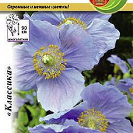 Меконопсис Гималайский Мак