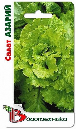 Салат  Азарий