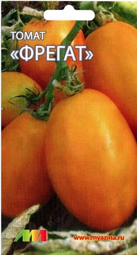 Томат (Помидор) обыкновенный Фрегат оранжевый