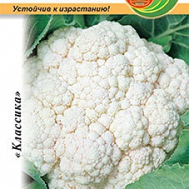 Капуста Цветная Отечественная
