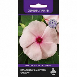 Катарантус Саншторм Эприкот