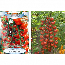 Томат Эльф F1