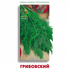 Укроп Грибовский