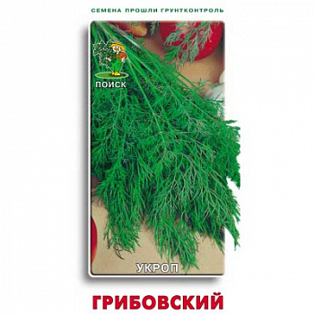 Укроп Грибовский