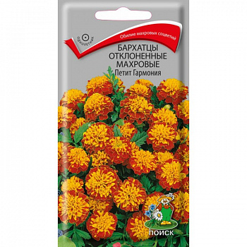 Бархатцы отклоненные махровые Петит гармония