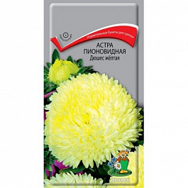 Астра пионовидная Дюшес желтая