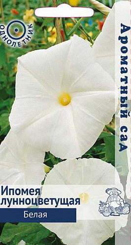 Ипомея лунноцветущая Белая