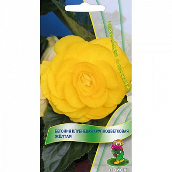 Бегония клубневая крупноцветковая Желтая