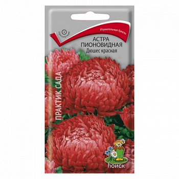 Астра пионовидная Дюшес красная