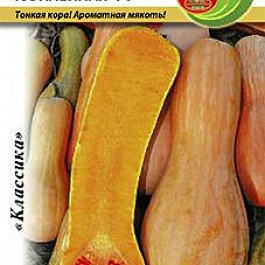 Тыква  Юбилейная 70