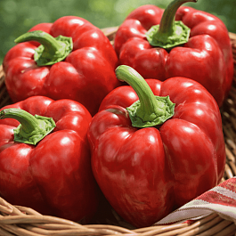 Перец сладкий  Рубиновый