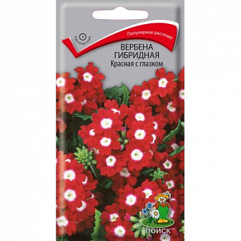 Вербена гибридная Красная с глазком