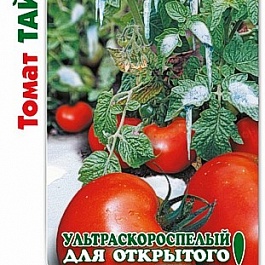 Томат (Помидор) обыкновенный Таймыр