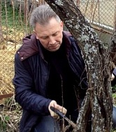 Качество саженцев и уровень сервиса