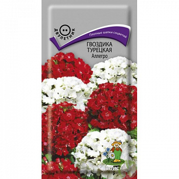 Гвоздика Турецкая Аллегро