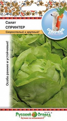 Салат Кочанный Спринтер