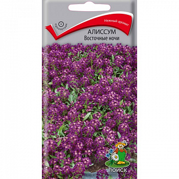 Алиссум Восточные ночи