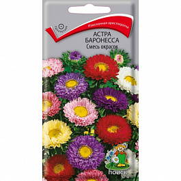 Астра Баронесса Смесь окрасок