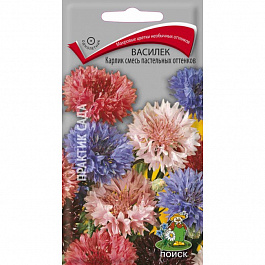 Василёк Карлик смесь пастельных оттенков