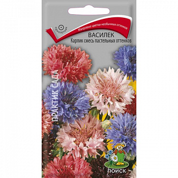 Василёк Карлик смесь пастельных оттенков