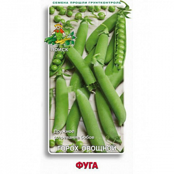 Горох овощной Фуга