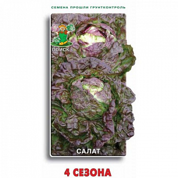 Салат 4 Сезона