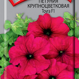 Петуния крупноцветковая Тоуга F1
