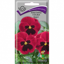 Анютины глазки Кларет