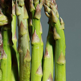 Спаржа  Царская