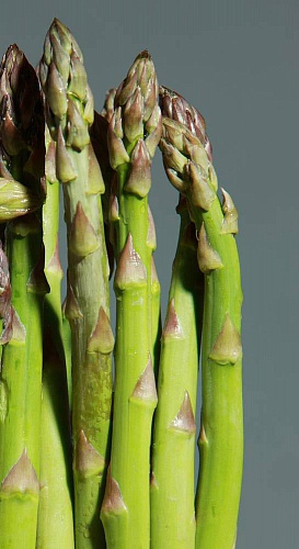 Спаржа  Царская