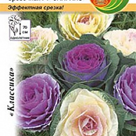 Капуста Декоративная Санрайз срезочная