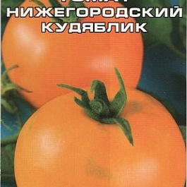 Томат (Помидор) обыкновенный Нижегородский кудяблик