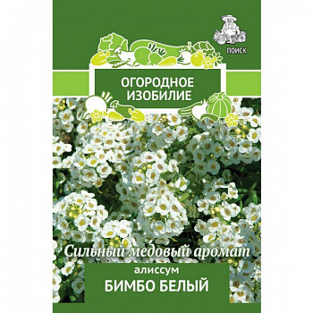 Алиссум Бимбо белый