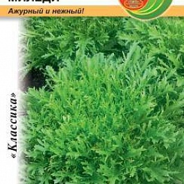 Салат Листовой Эндивий Миледи