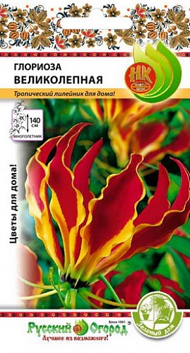 Глориоза Великолепная