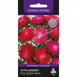 Астра Джевел Ред Шедоу микс